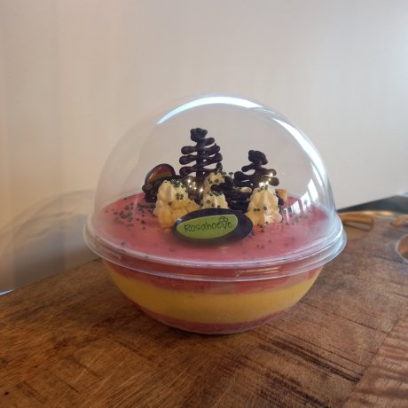 IJsbol Bosvruchten/Mango 3 á 4-persoons (koemelkvrij)