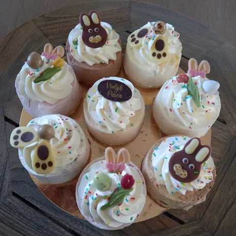 8 ijsgebakjes in verschillende smaken